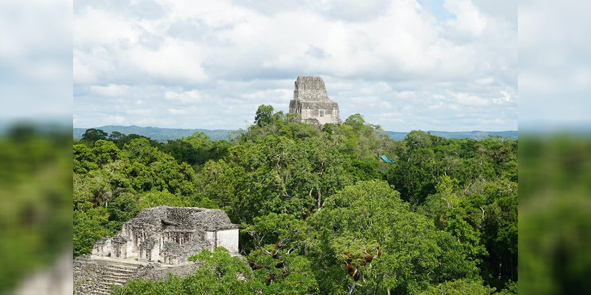 bg U ELMO Tikal 1